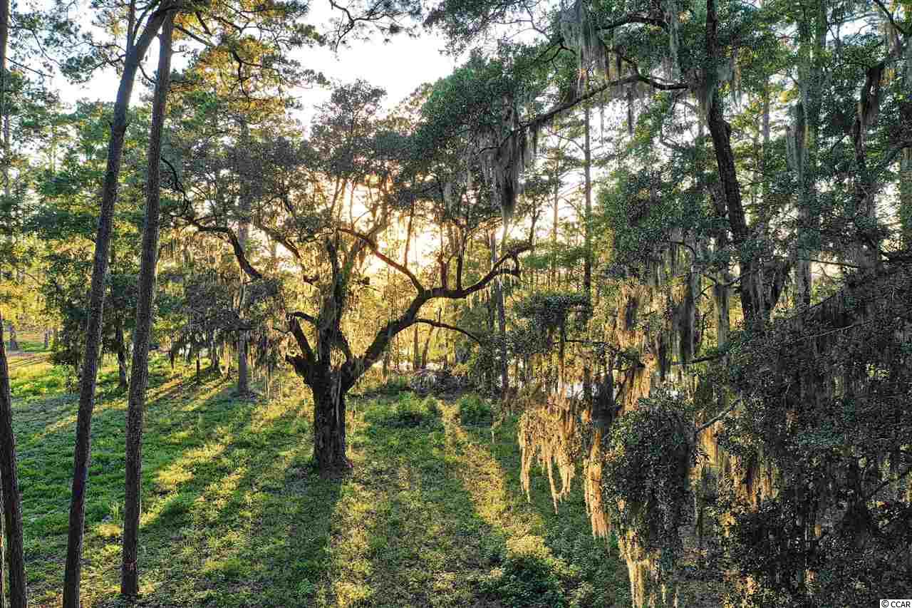 Lot 10 Cabaniss Ln. Pawleys Island, SC 29585