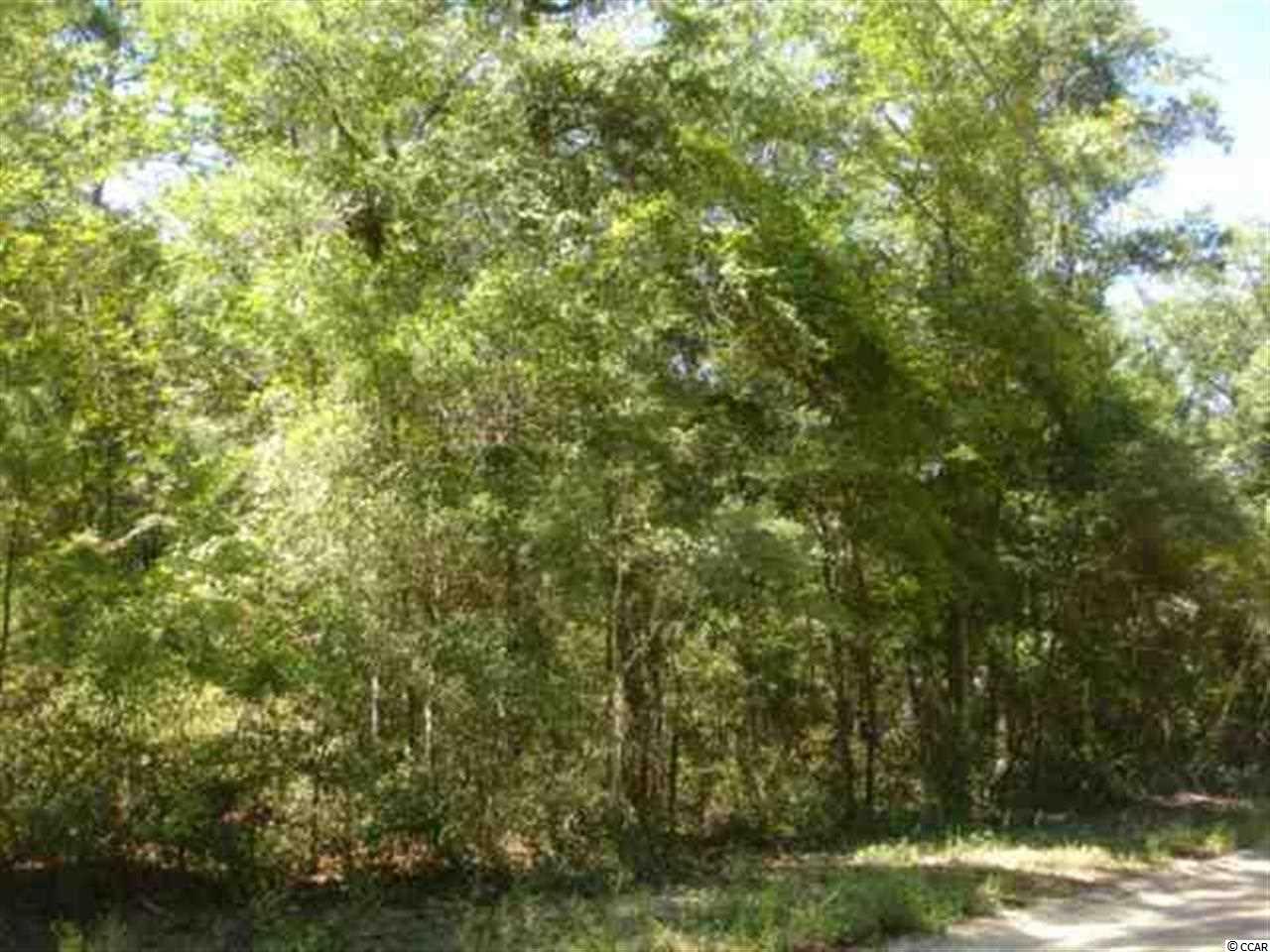 Lot 15 Hopeland St. Pawleys Island, SC 29585