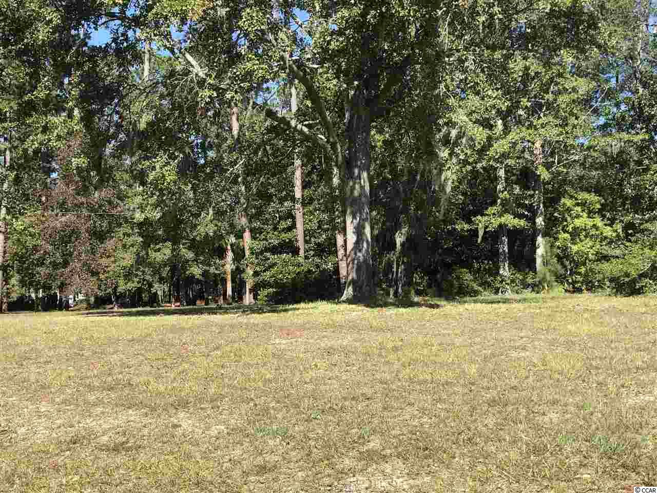 Lot # 135 South Bay St. Georgetown, SC 29440