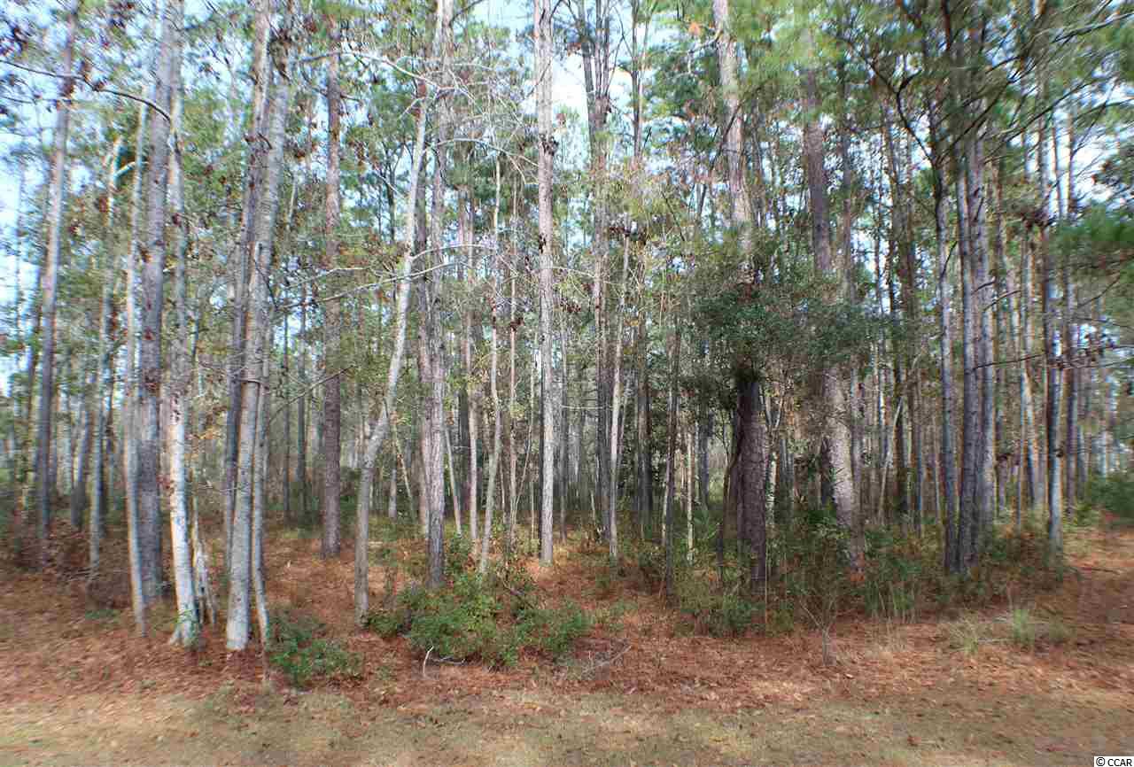 2653 Vanderbilt Blvd. Pawleys Island, SC 29585