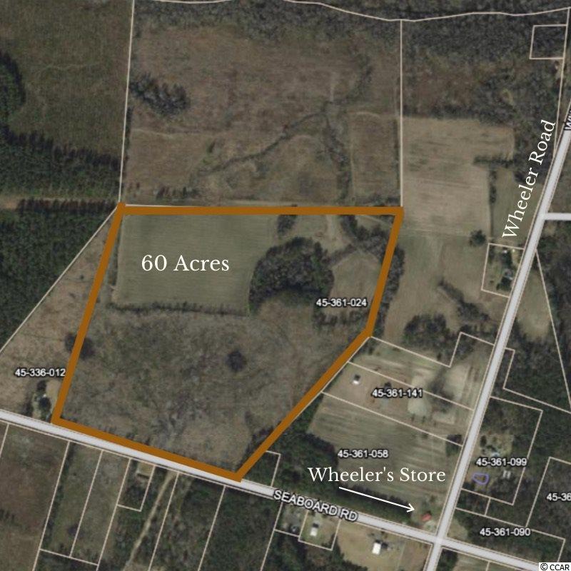 60 acre Seaboard Rd. Andrews, SC 29510