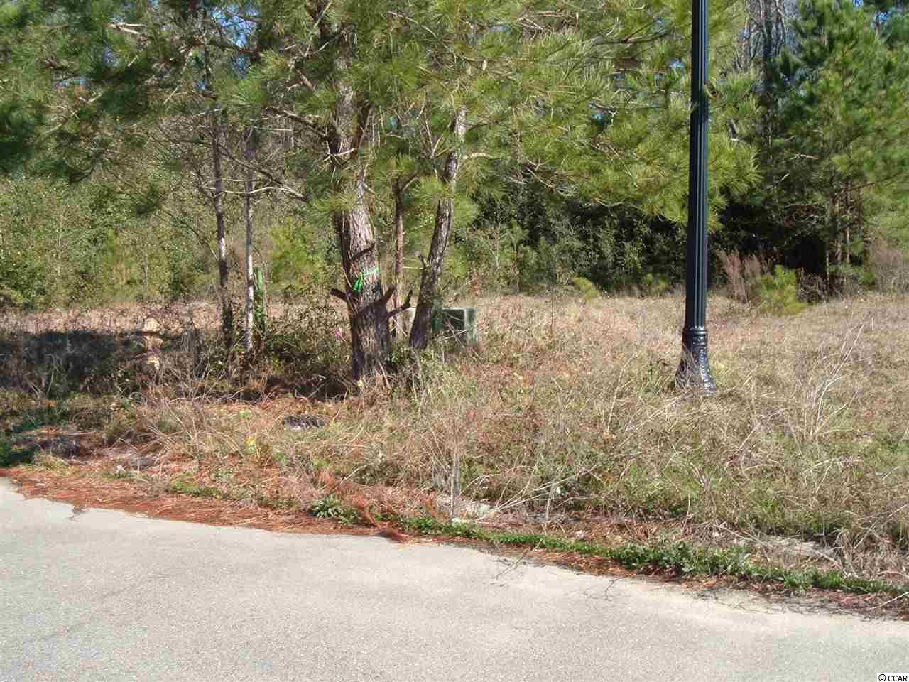 Lot #8 Litchfield Landing Pawleys Island, SC 29585
