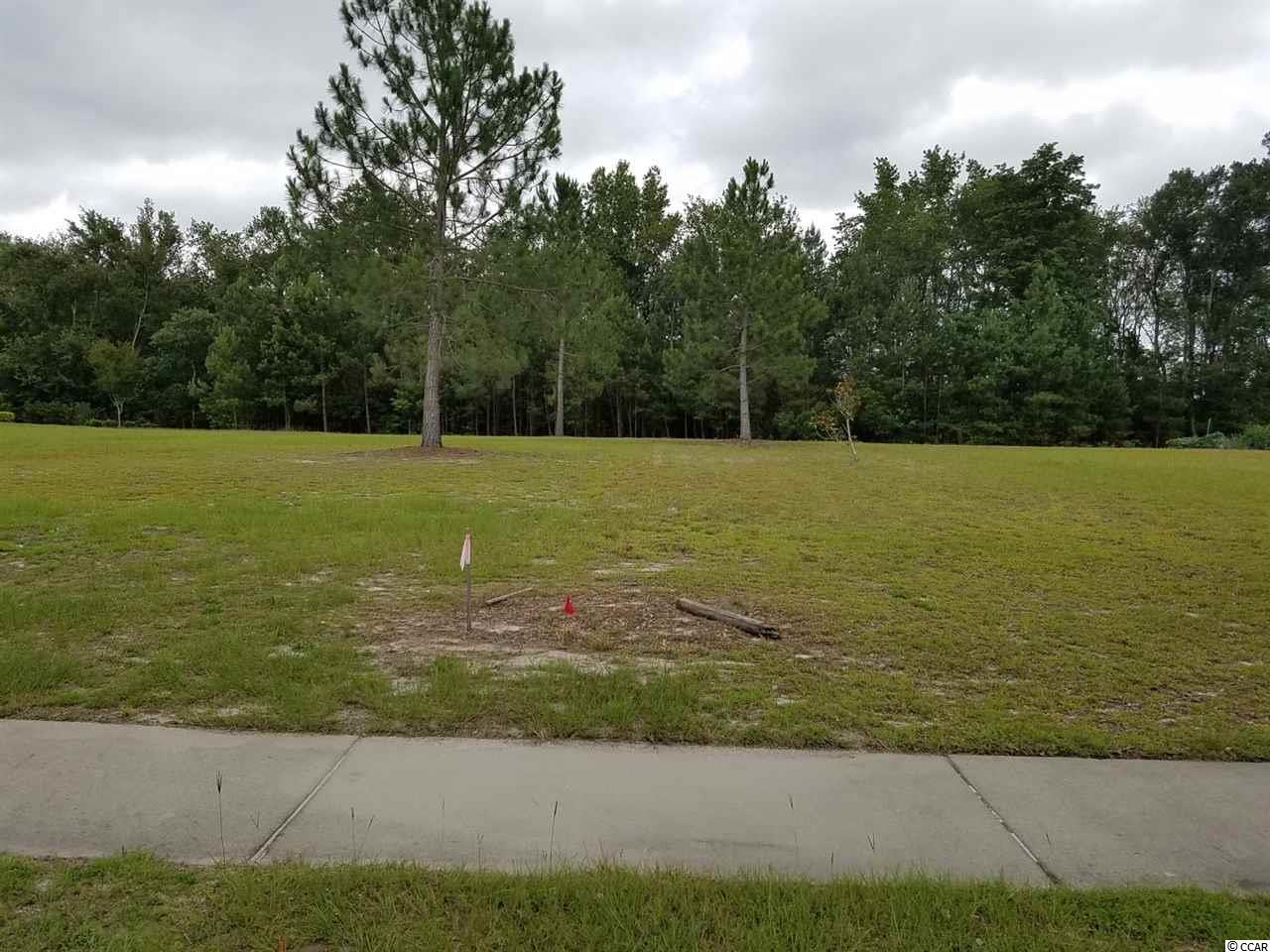 1220 Woodstork Dr. Conway, SC 29526