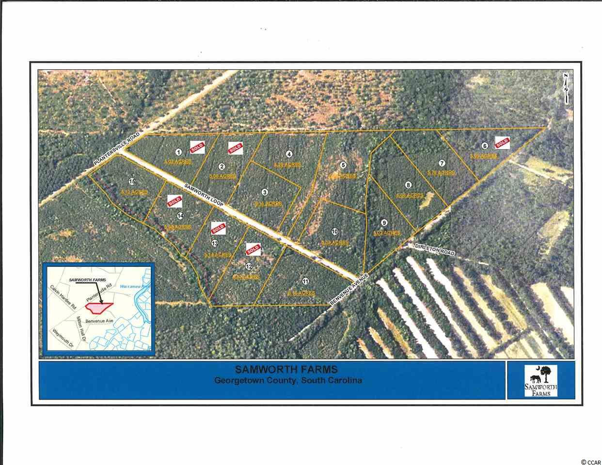 Lot 7 Samworth Loop Georgetown, SC 29440