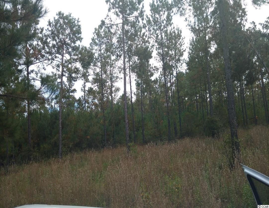 Lot 8 Samworth Loop Georgetown, SC 29440