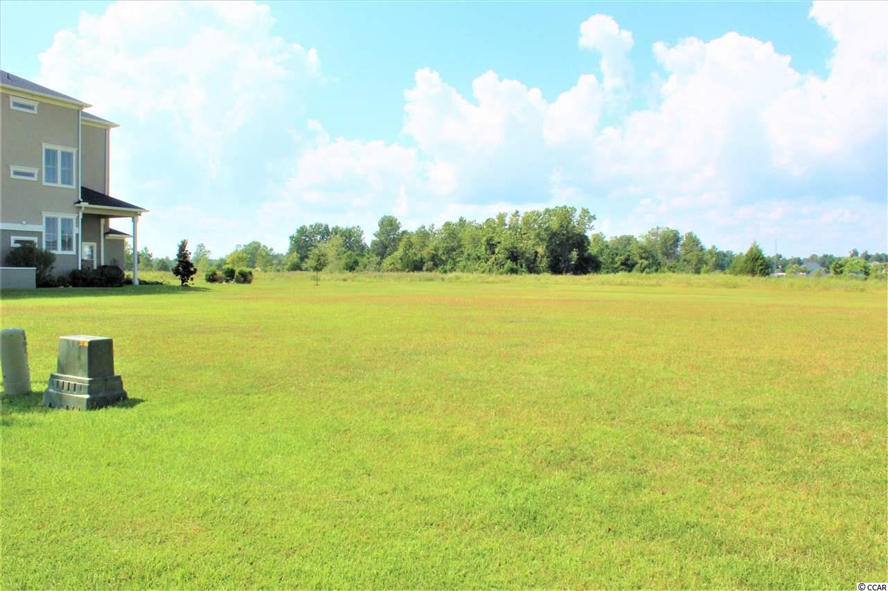 195 W Palm Dr. Myrtle Beach, SC 29579