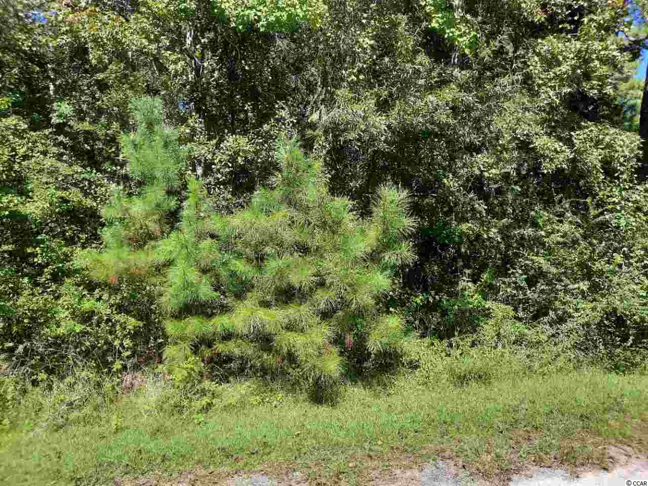 Lot 9 E Wisteria Dr. Hemingway, SC 29554