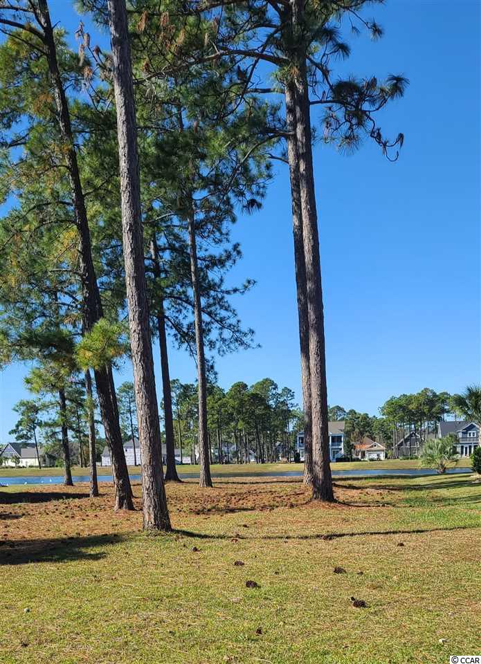 1107 Fiddlehead Way Myrtle Beach, SC 29579