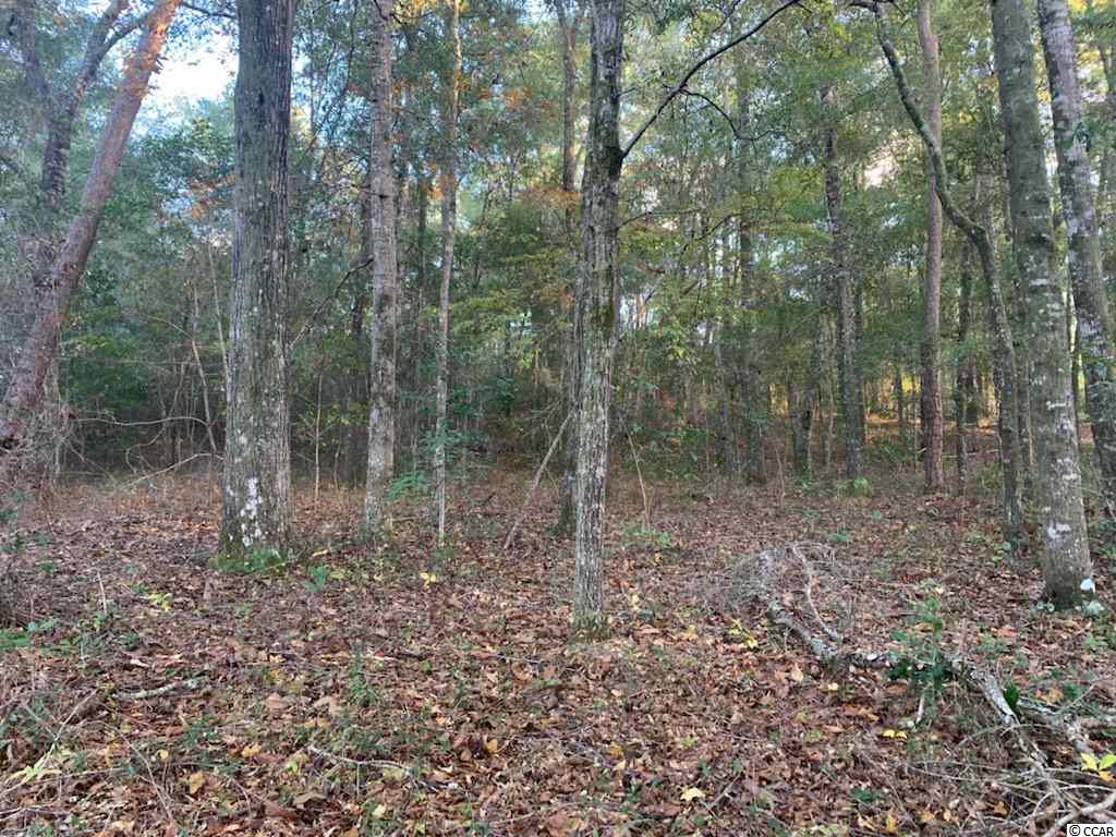 lot 14 Mohican Dr. Georgetown, SC 29440