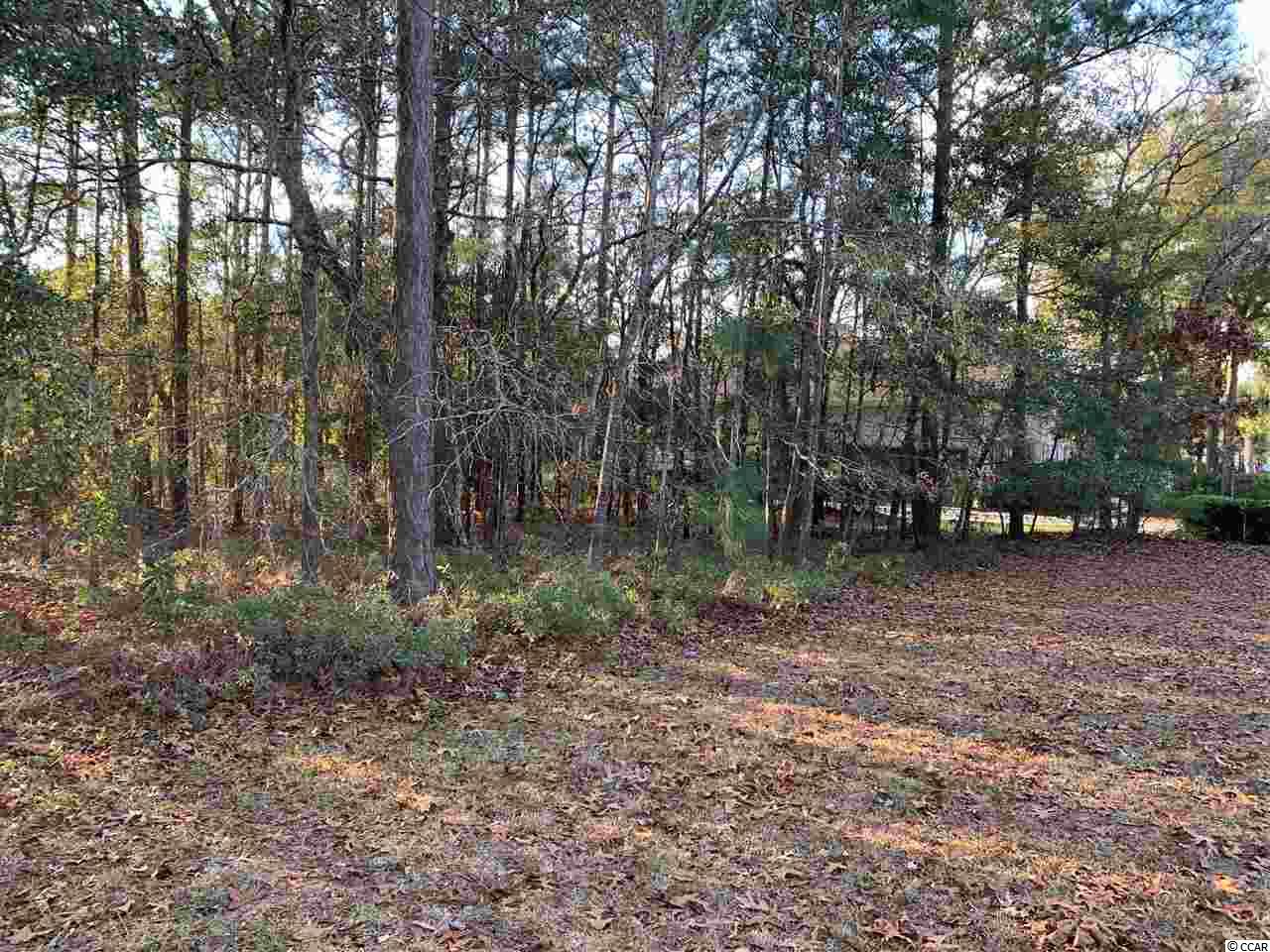 Lot 41 Hunters Oak Ct. Pawleys Island, SC 29585