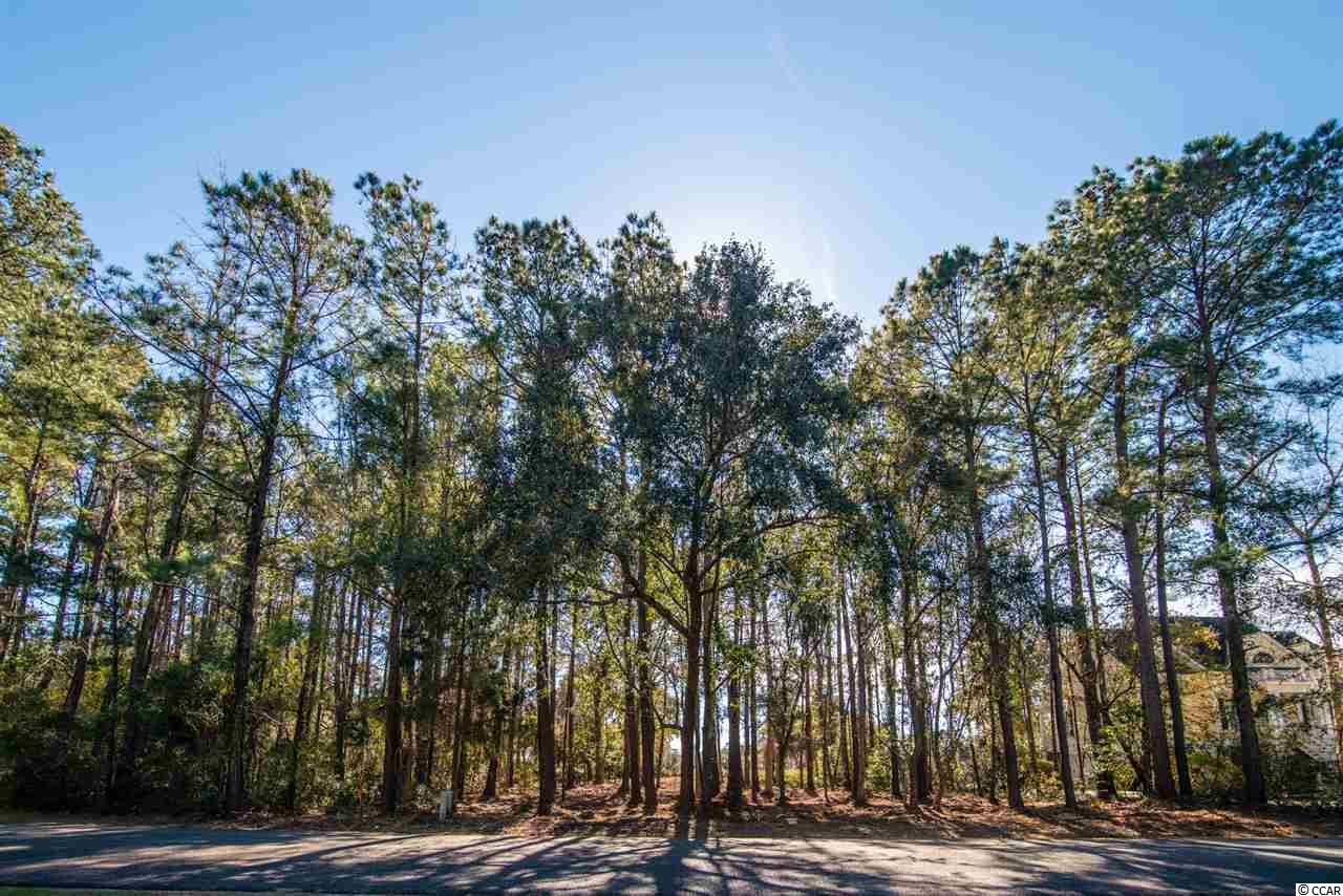 73 Wallace Pate Dr. Georgetown, SC 29440