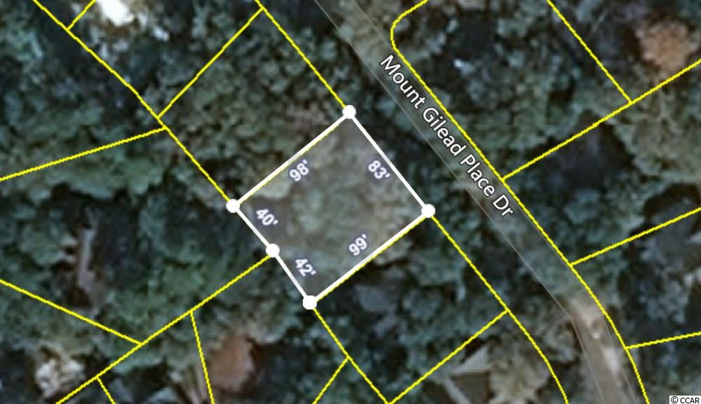781 Mount Gilead Place Dr. Murrells Inlet, SC 29576