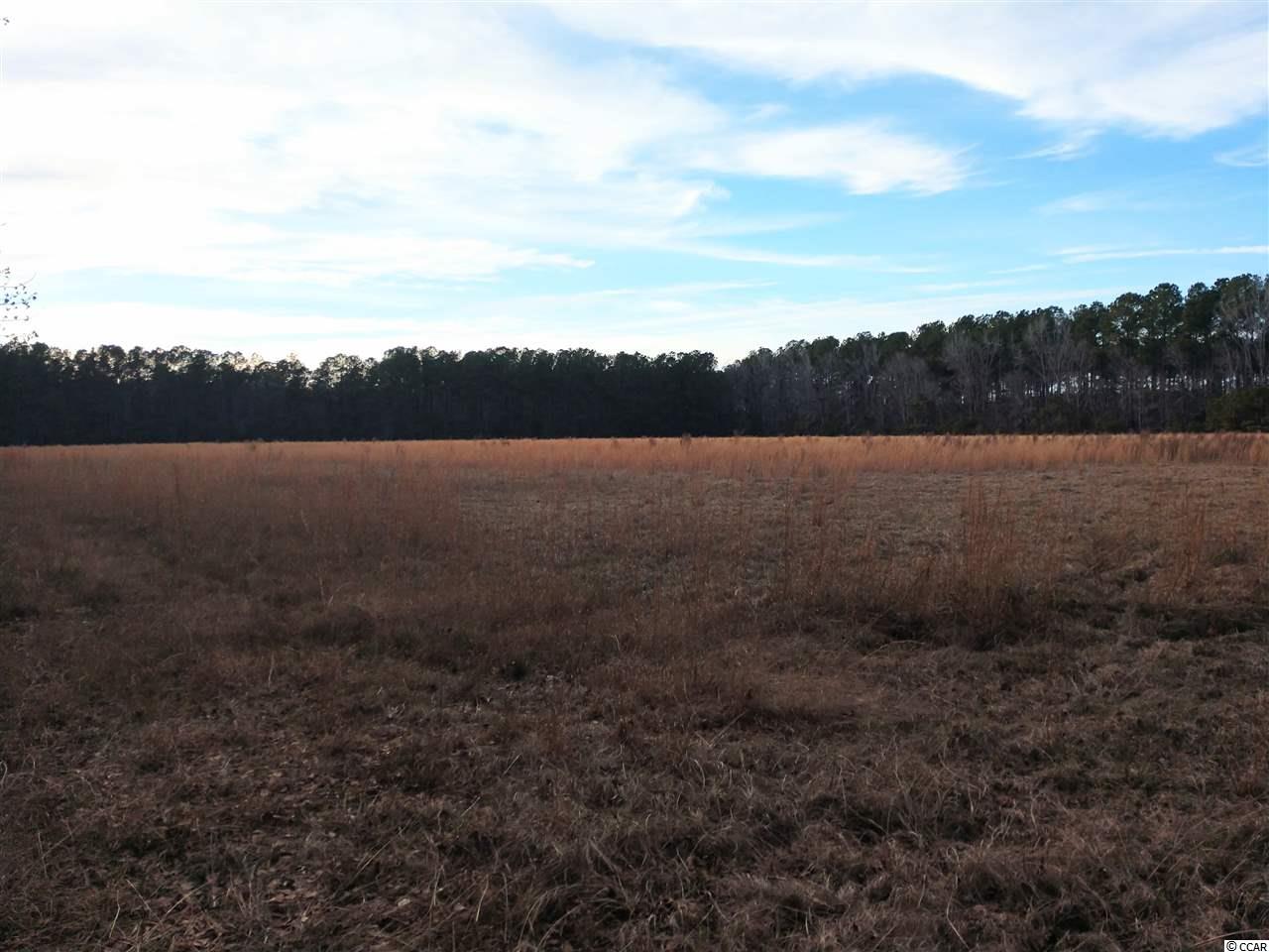 TBD Red Bluff Rd. Loris, SC 29569