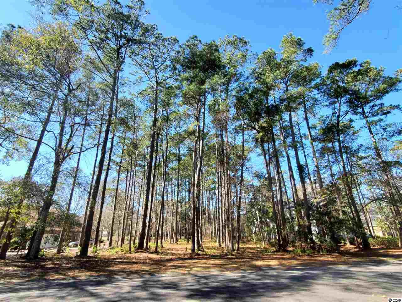 Lot 40 Old Augusta Dr. Pawleys Island, SC 29585