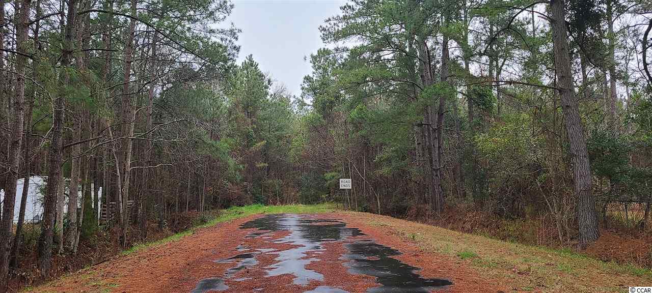 TBD Nelson Rd. Little River, SC 29566