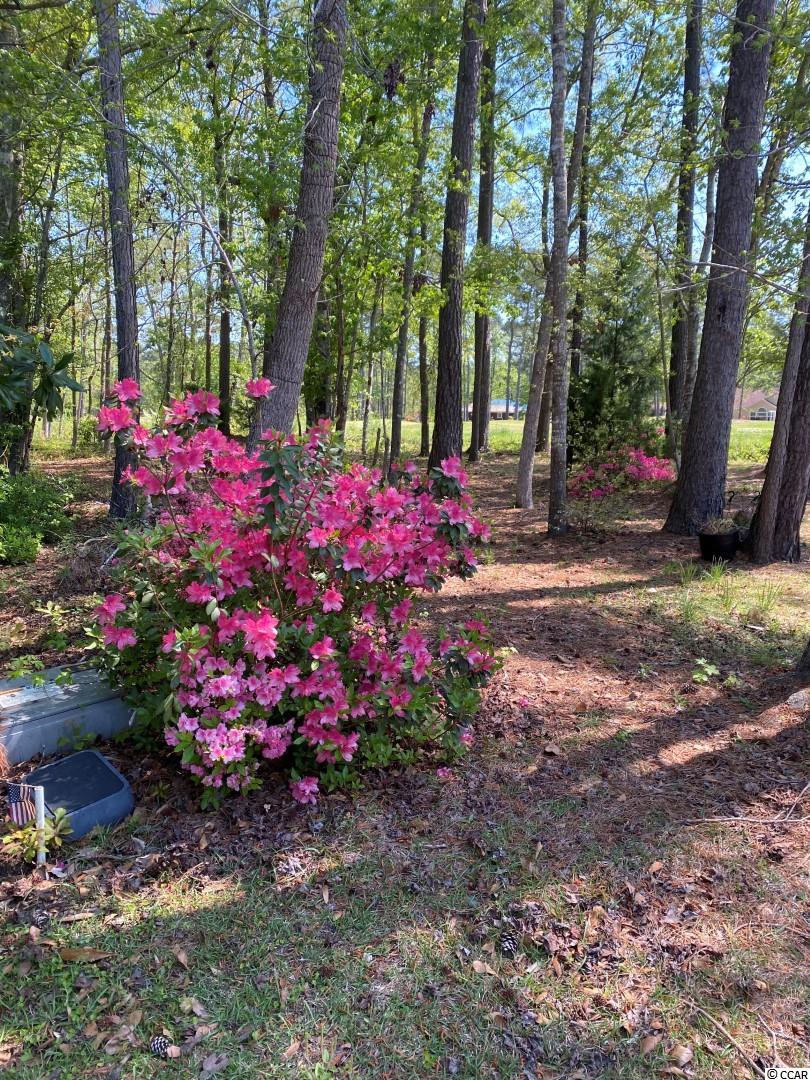 7 Court 6 Northwest Dr. Carolina Shores, NC 28467