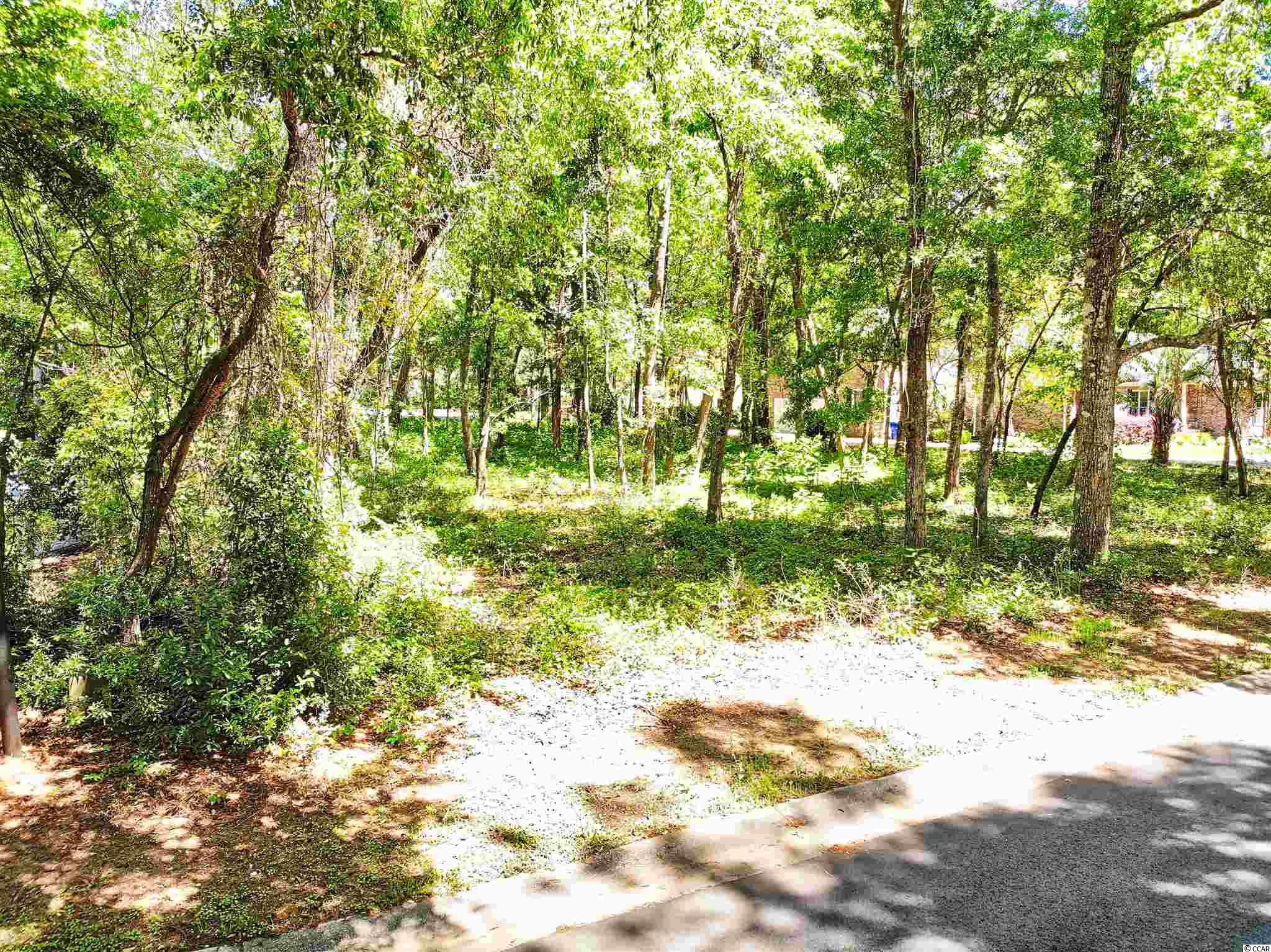 Lot 20 Golden Bear Dr. Pawleys Island, SC 29585