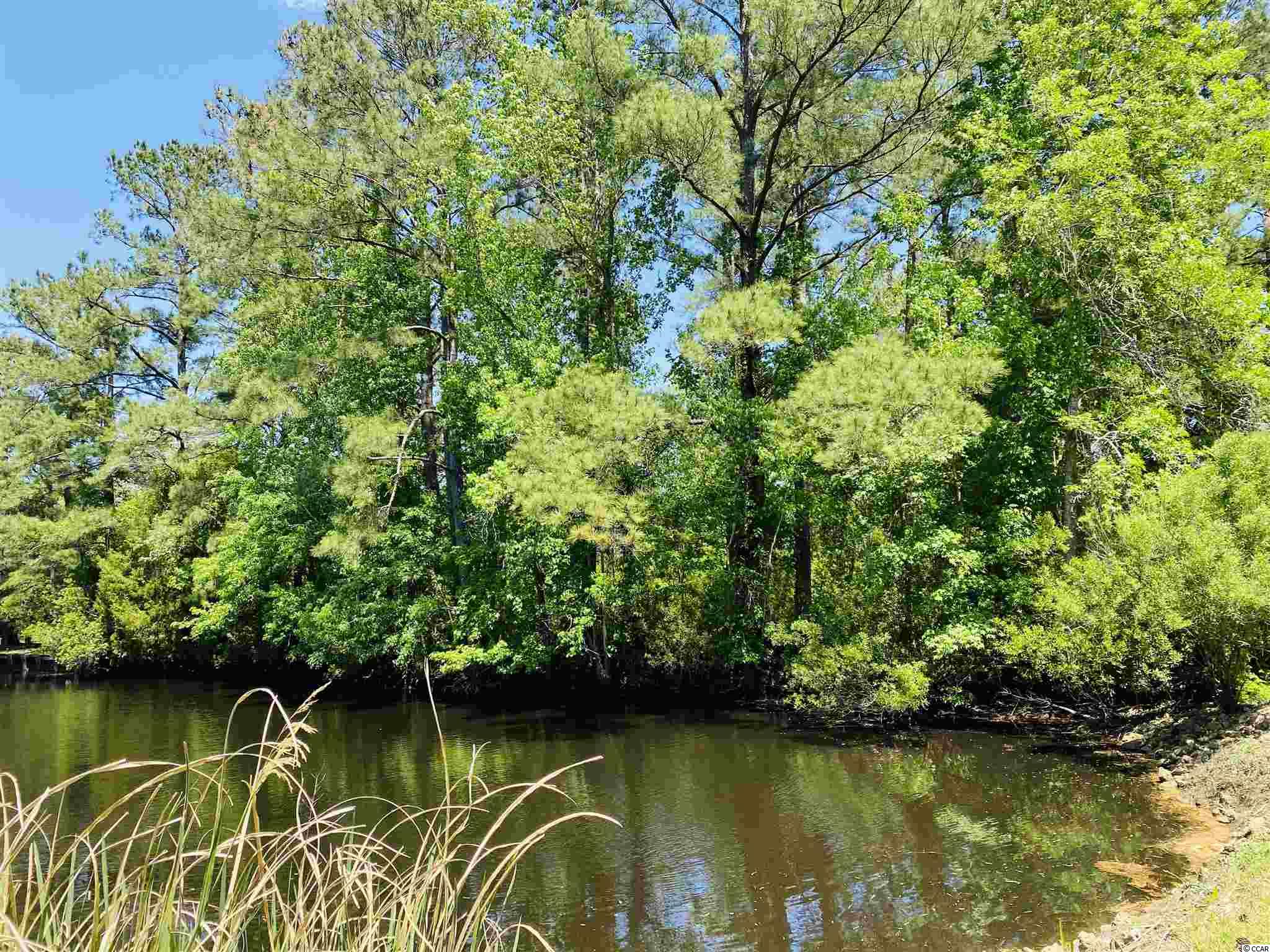 19 Ricefield Pl. Georgetown, SC 29440