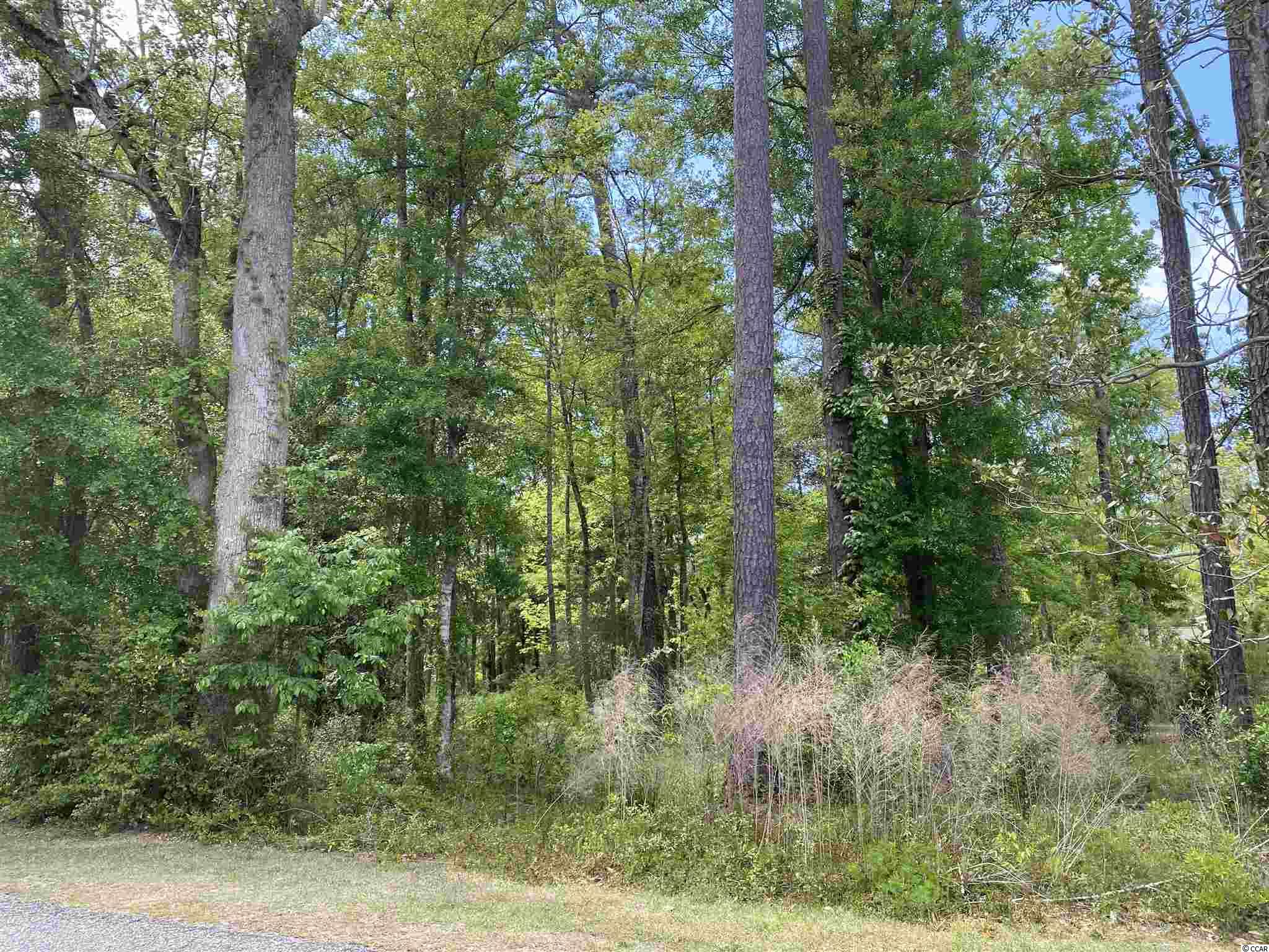 Lot 8 Tuckers Rd. Pawleys Island, SC 29585