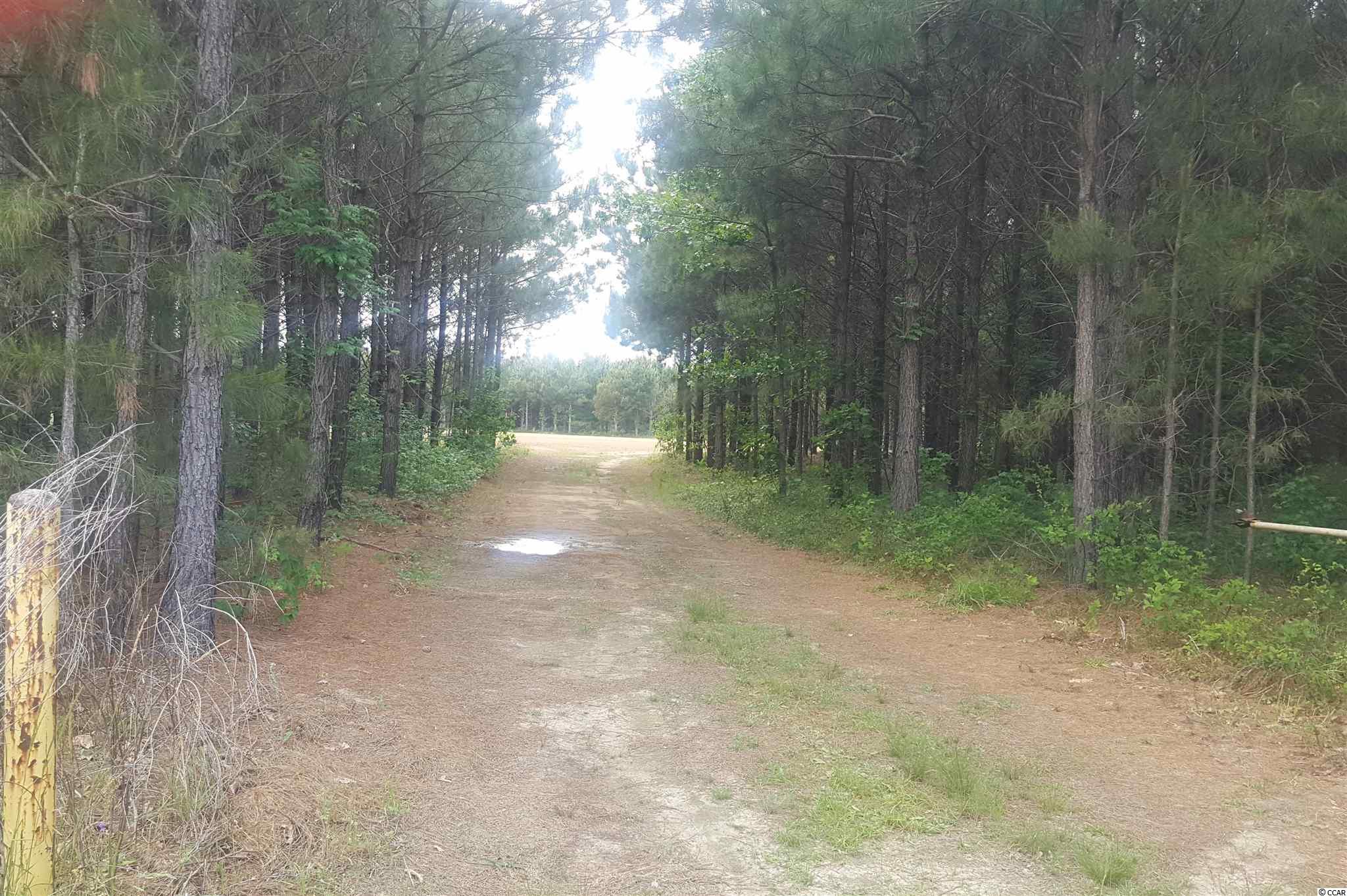 Blackwell Island Ct. Marion, SC 29571