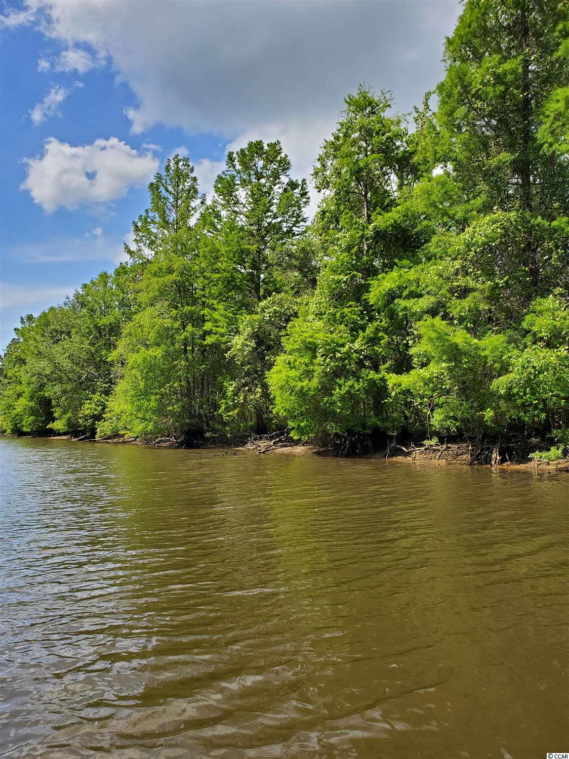 Lots 20 21 Paradise Pointe Pawleys Island, SC 29585