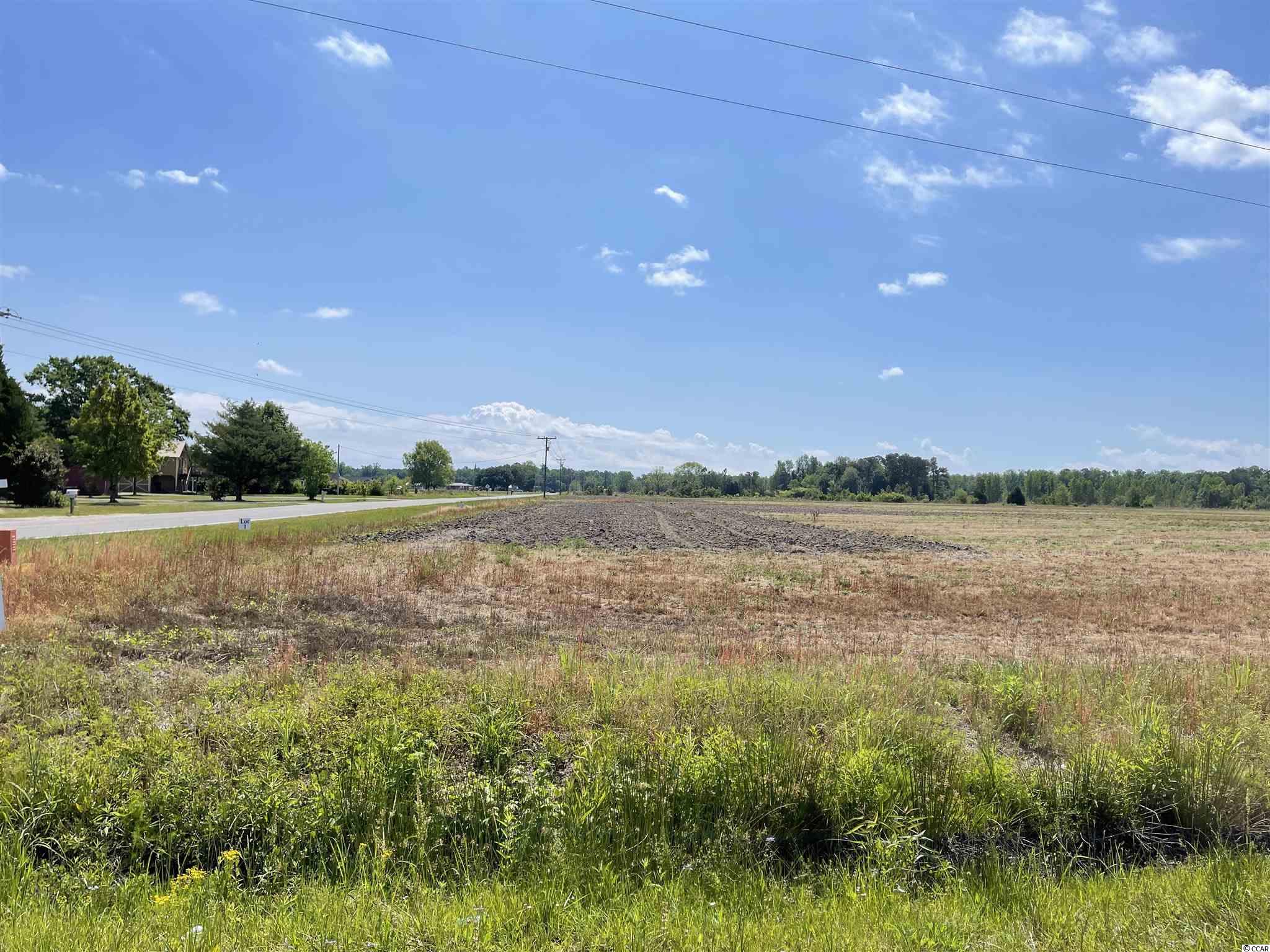 Lot 6 Pleasant Grove Rd. Loris, SC 29569