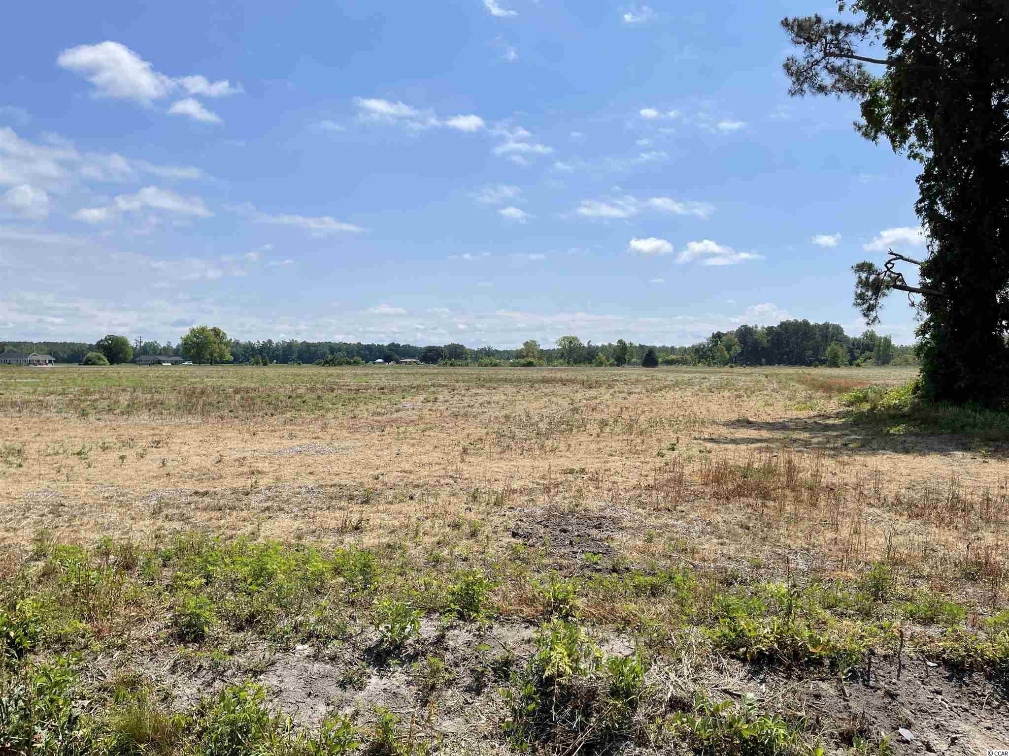 Lot 8 Pleasant Grove Rd. Loris, SC 29569