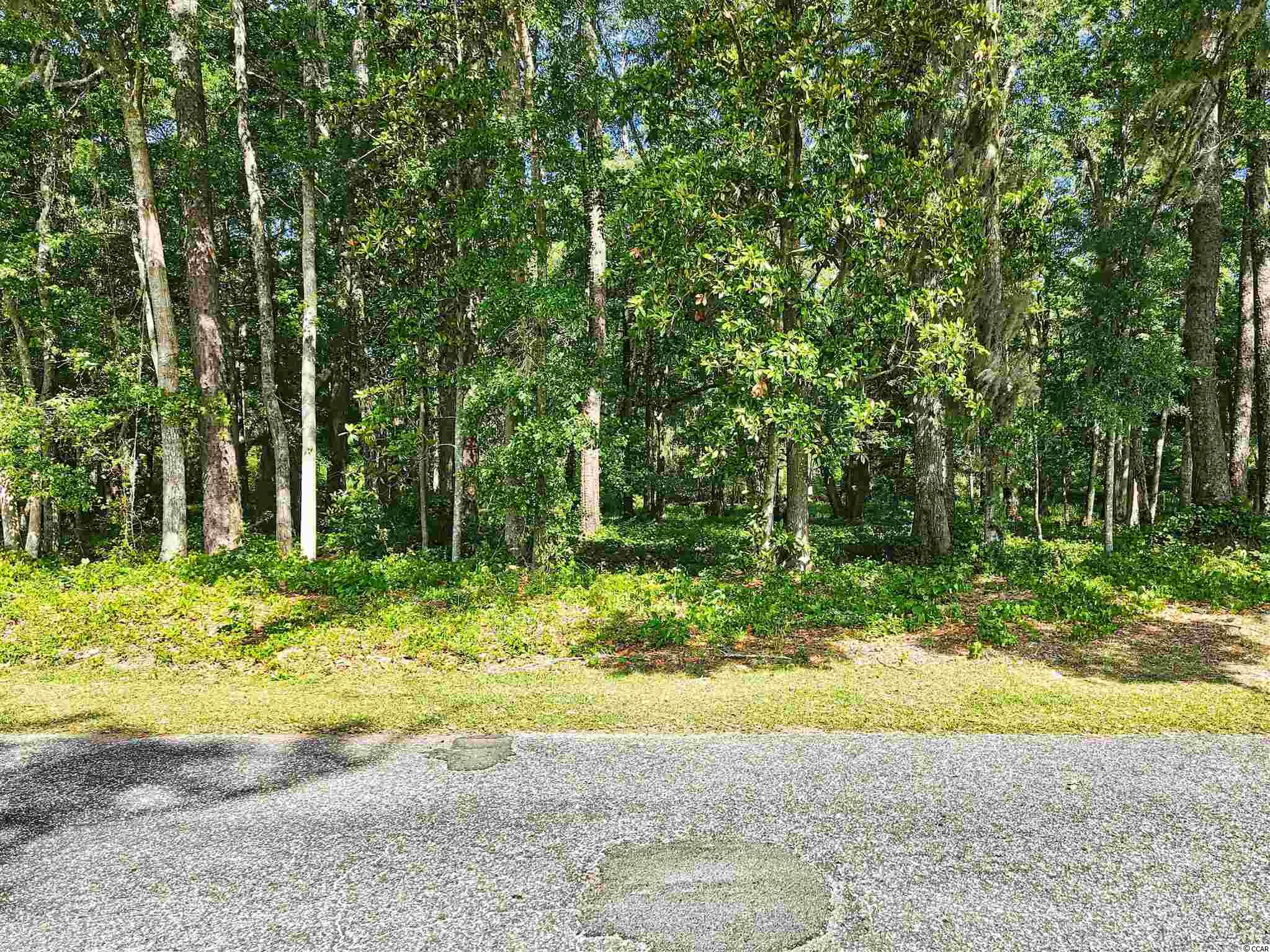 Lot 4 Blk Tuckers Rd. Pawleys Island, SC 29585