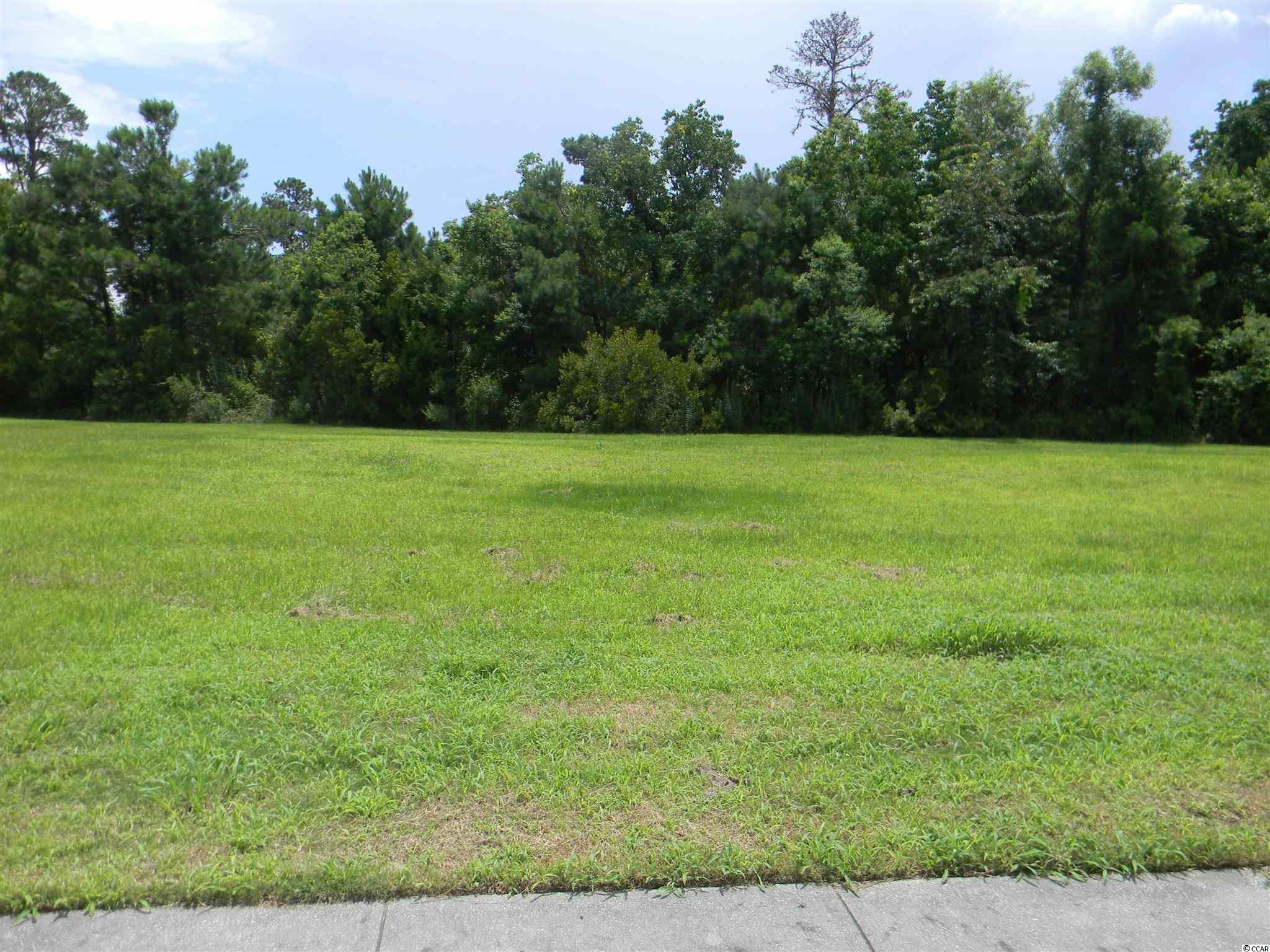 Lot 128 Oaklawn Rd. Georgetown, SC 29440