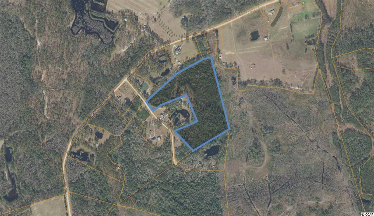 23.37 acre Old Country Rd. Longs, SC 29568