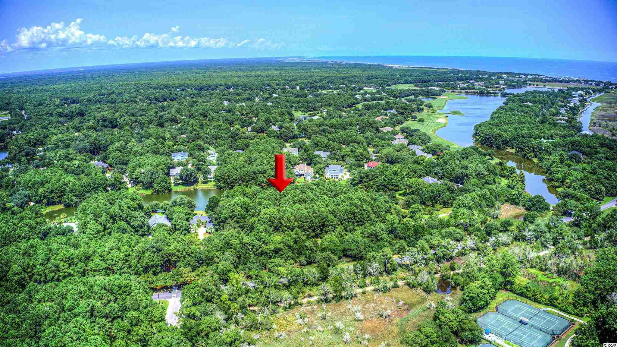 Lot 261 Blue Heron Rd. Georgetown, SC 29440