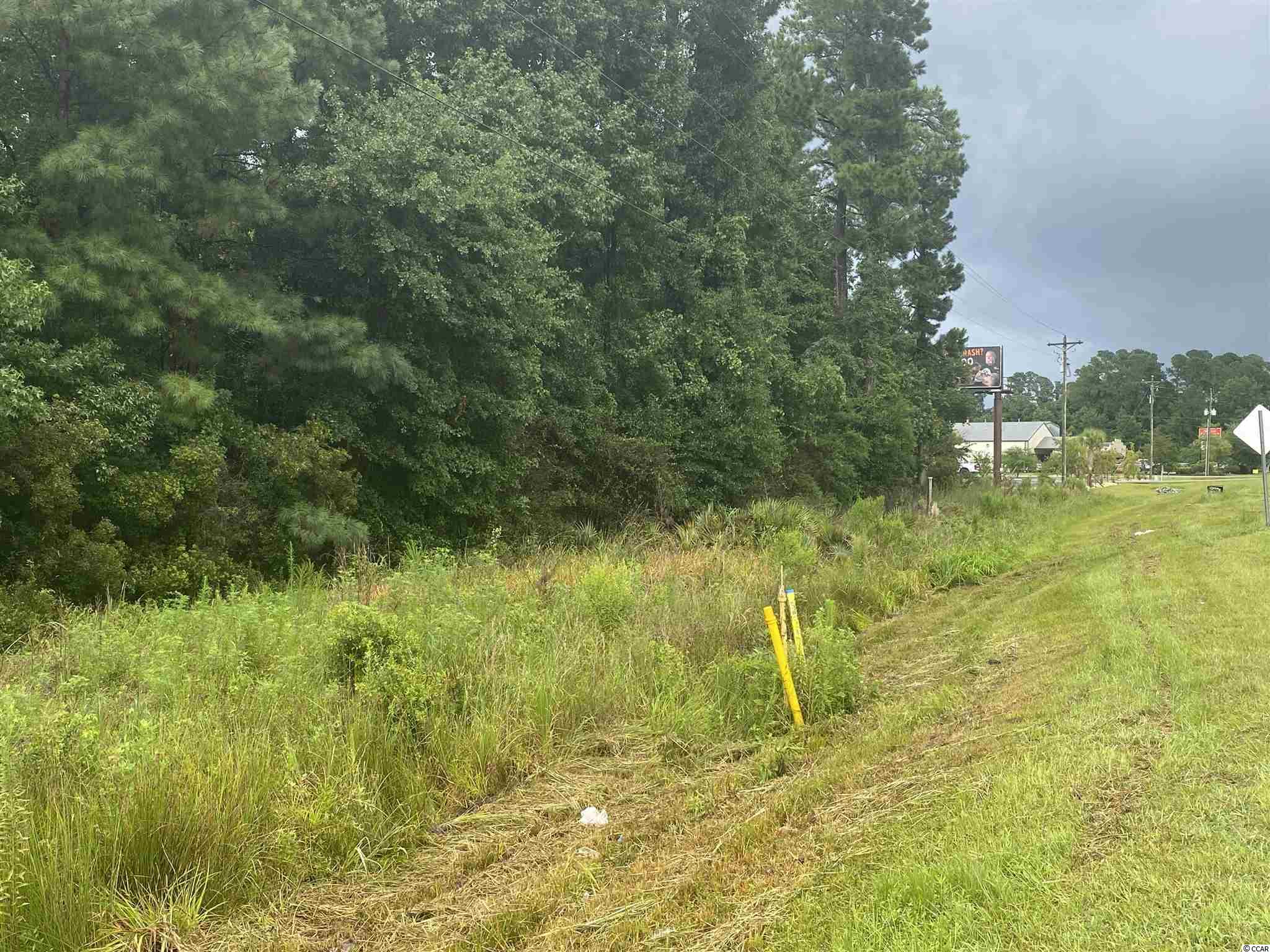 endless possibilities for this prime corner lot measuring .82 acres. the parcel is  located directly on highway 378 and the intersection of green pond circle road.  the land is zoned highway commercial  with multiple possibilities for development. us army corps of engineers approved jurisdiction determination was received december 2020. don't miss this development opportunity contact your realtor to schedule a showing today!