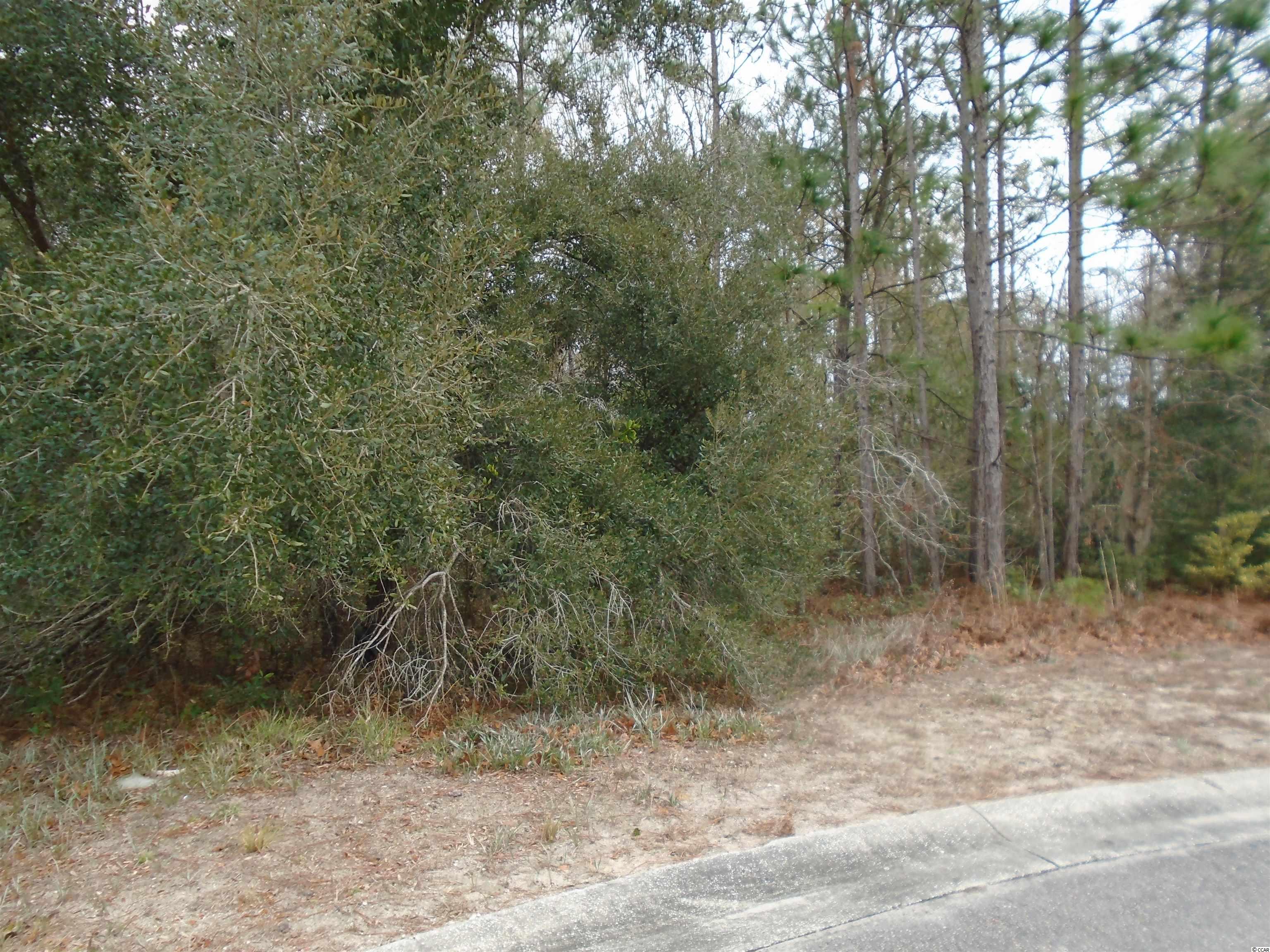 4 Society Rd. Pawleys Island, SC 29585