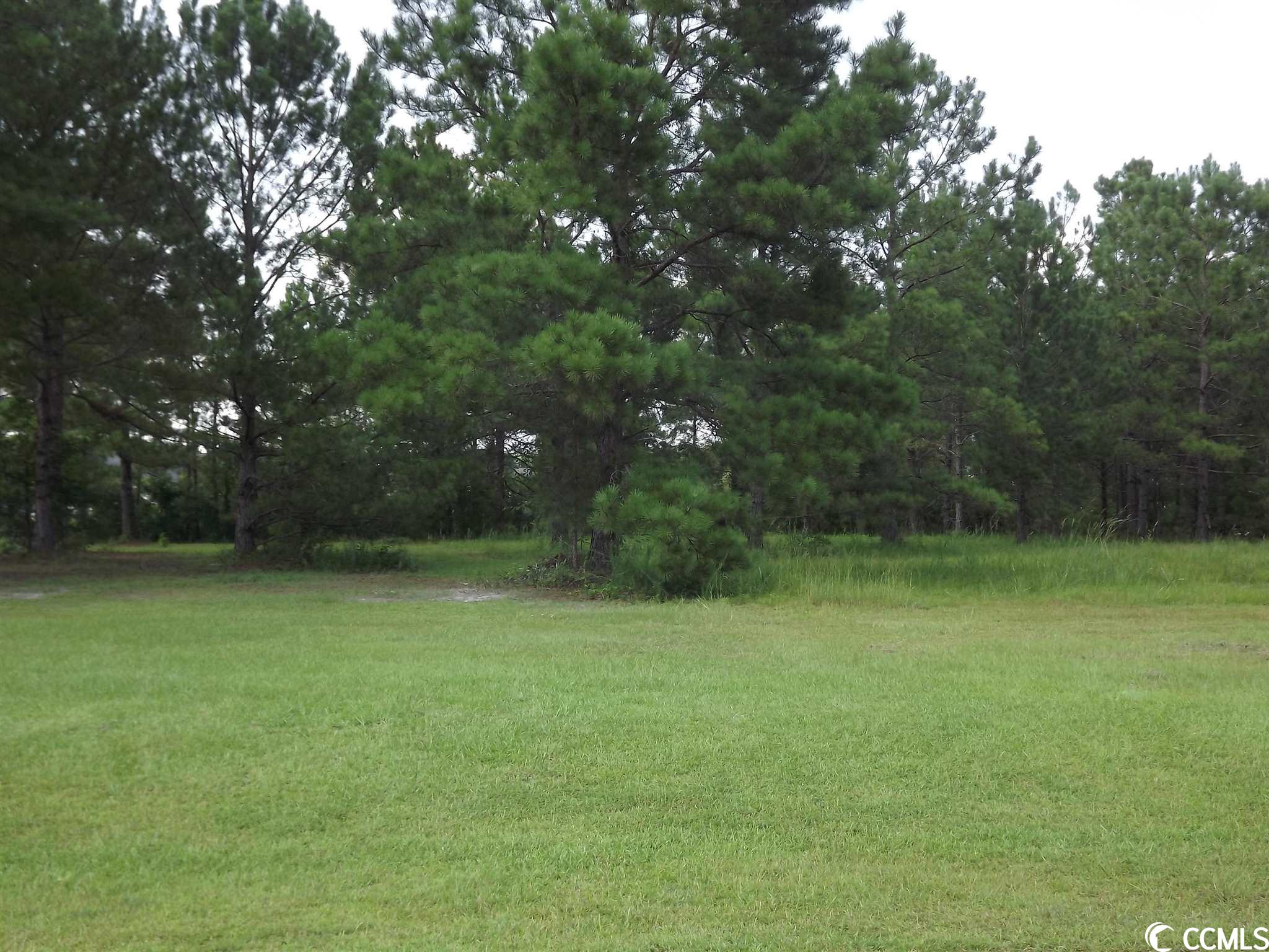 Lot 69 Long Lake Circle Conway, SC 29527