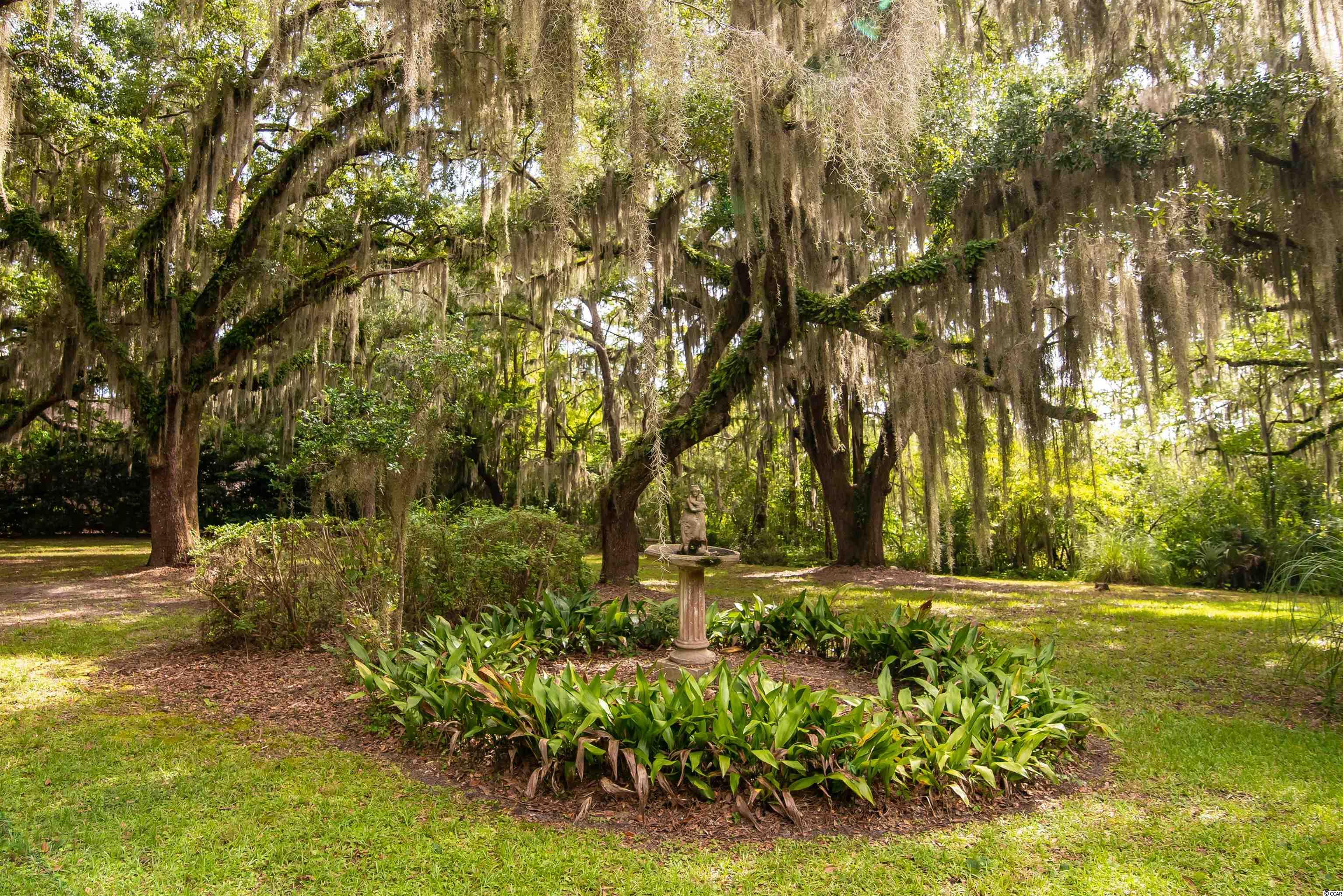 105 Red Squirrel Ln. Pawleys Island, SC 29585