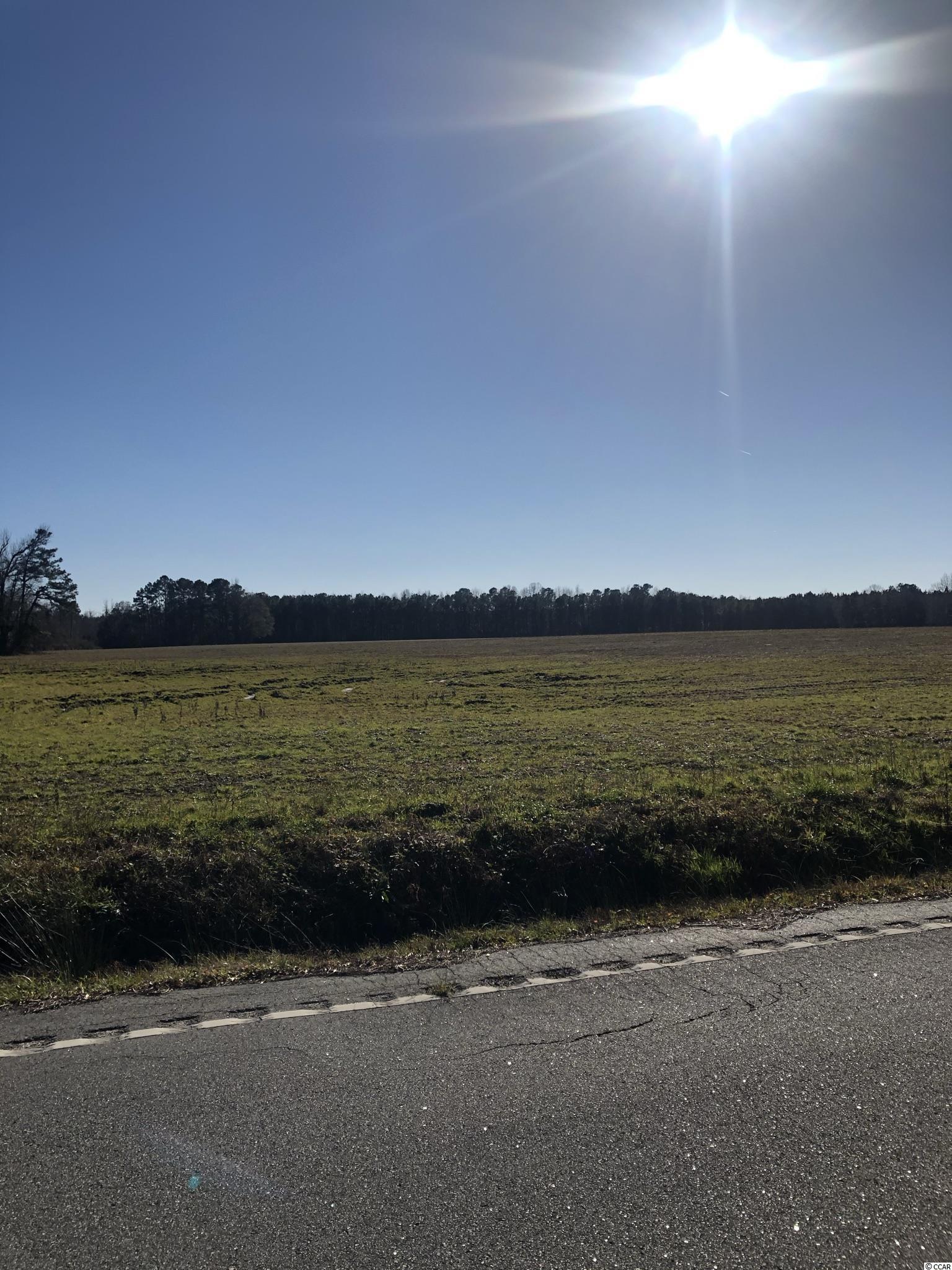 Lot 5 Mitchell Swamp Rd. Loris, SC 29569