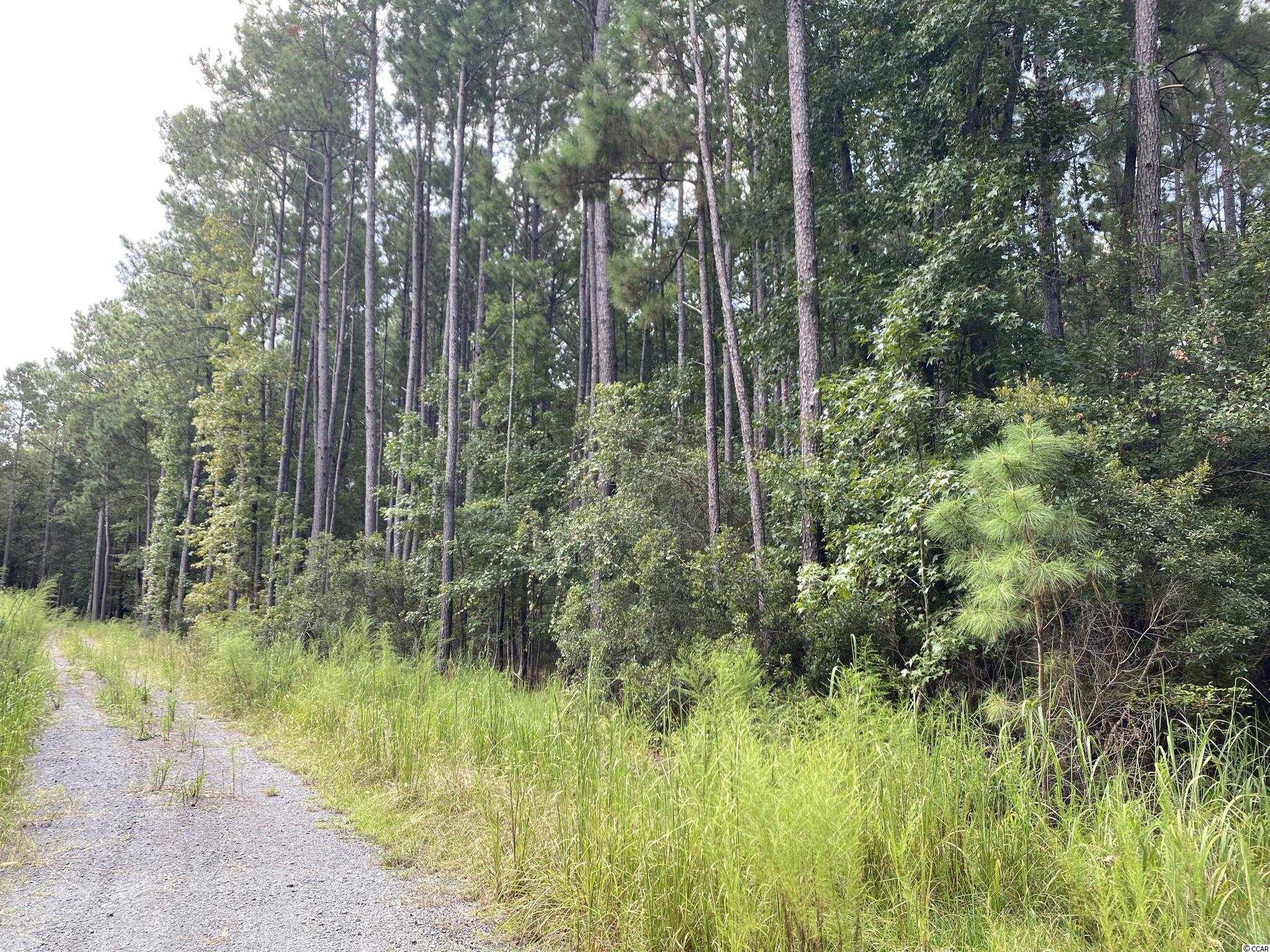 TBD Duany Dr. Georgetown, SC 29440