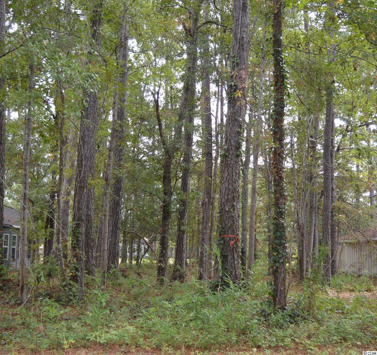 14 Gate 7 Carolina Shores, NC 28467