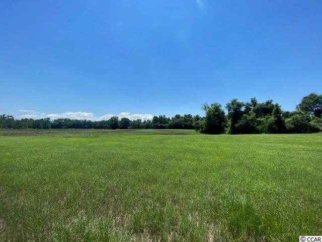 TBD William Nobles Rd. Aynor, SC 29511