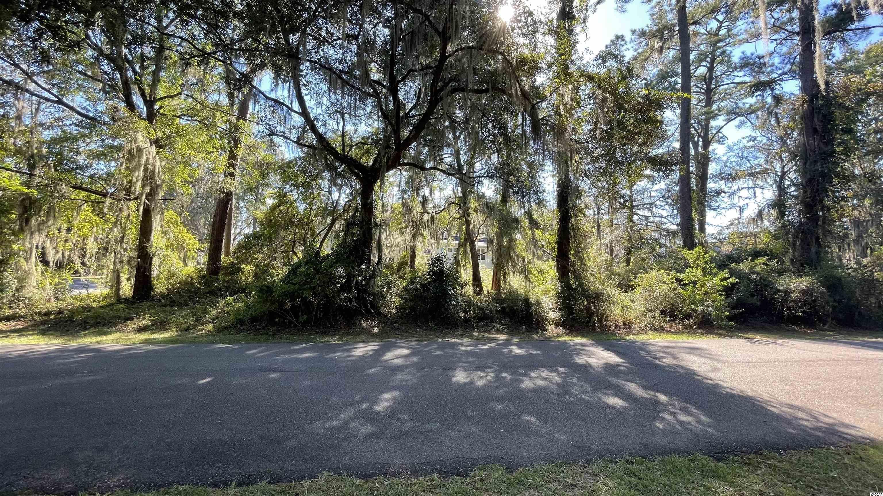 Lot 1-N Tuckers Rd. Pawleys Island, SC 29585