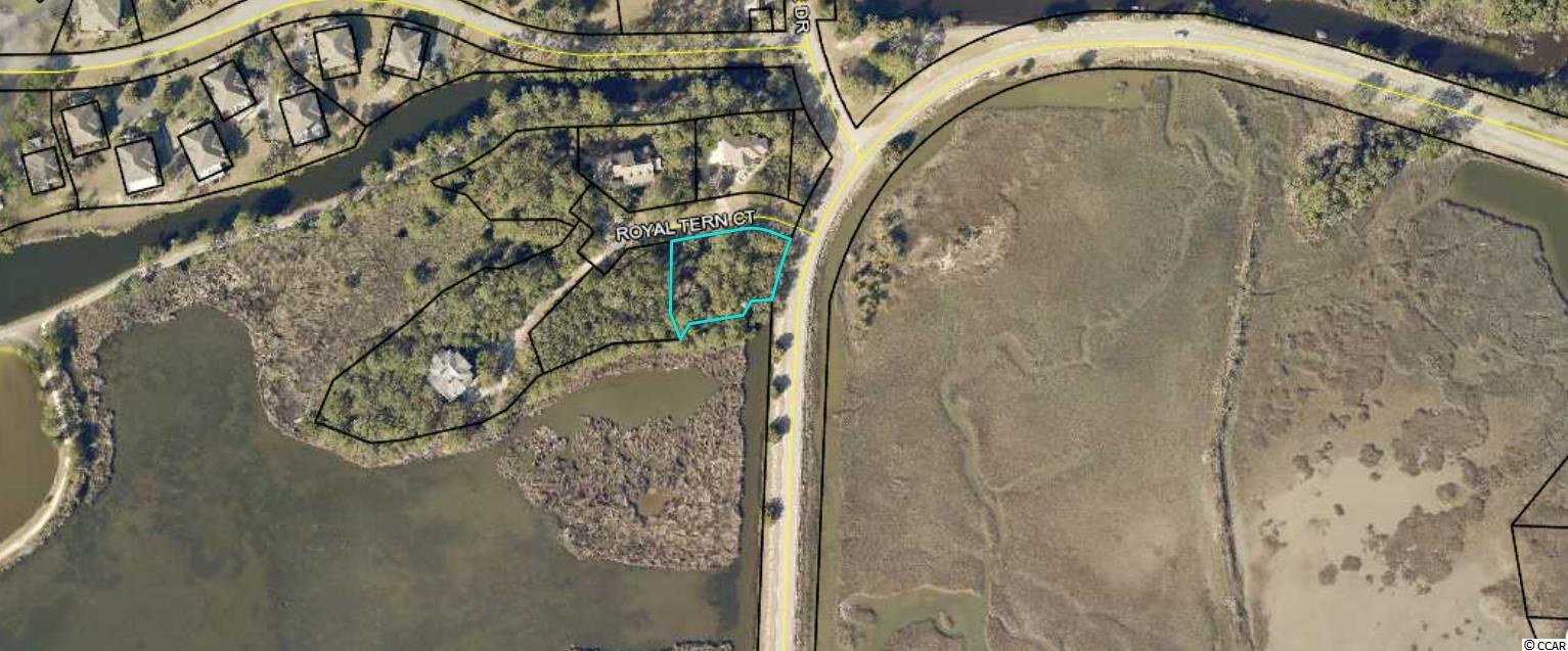 LOT 4 Royal Tern Ct. Georgetown, SC 29440