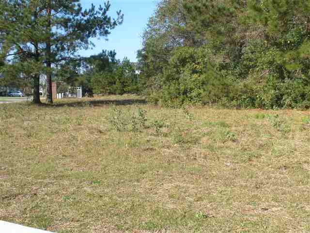 Lot 33 Grackle Ln. Pawleys Island, SC 29585