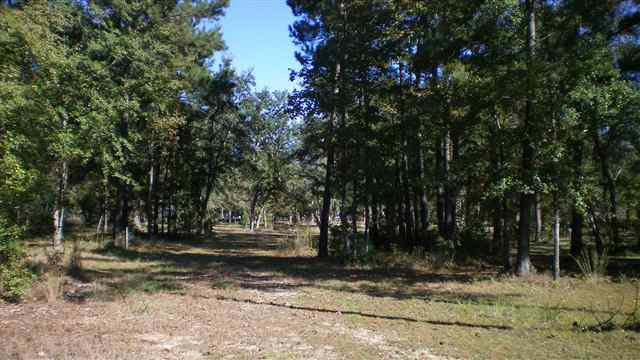 8 Shackleford Park Loop Georgetown, SC 29440