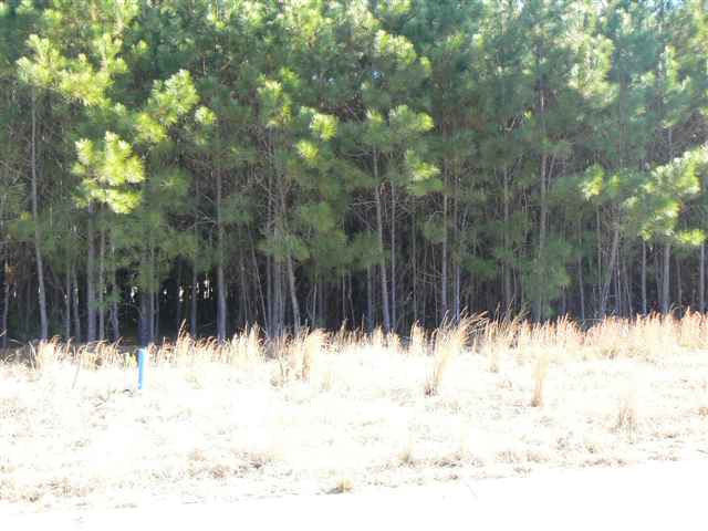 Lot 105 Rambler Ct. Myrtle Beach, SC 29588