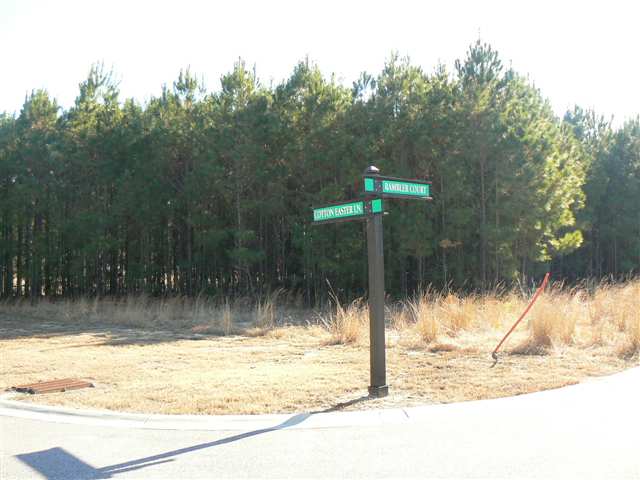 Lot 107 Rambler Ct. Myrtle Beach, SC 29588