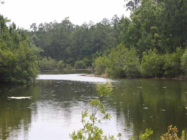 Lot 65 Fen Pl. Pawleys Island, SC 29585