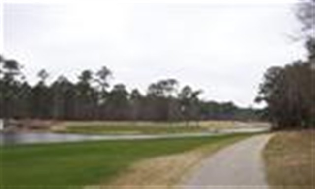 Lot 439 Francis Parker Rd. Georgetown, SC 29440