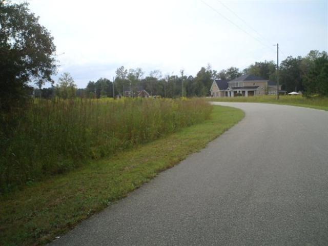 Lot 5 Norris Rd. Conway, SC 29526