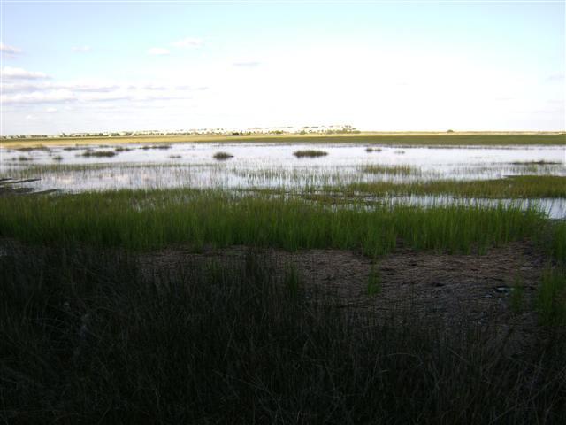 Lot 2 Grackle Ln. Pawleys Island, SC 29585