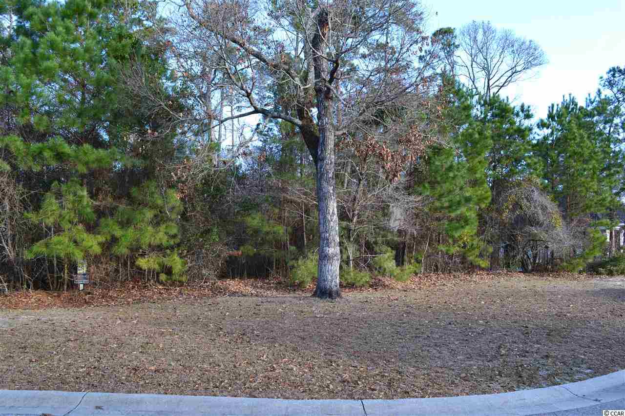 Lot 24 Highwood Circle Murrells Inlet, SC 29576